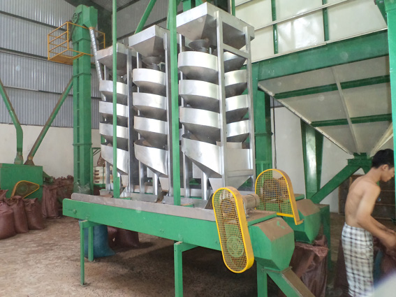 Hệ thống chế biến tiêu